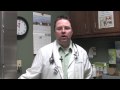 Dog & Cat Diseases : Causes of Diarrhea in Dogs