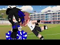 •{Cheerleader}•{Aphmau Au}•{meme/trend}•{Ein Harem}•