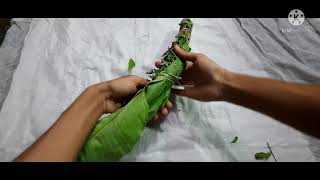 how to tie small nabapatrika(kala bou) at your home .