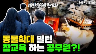 동물학대 빌런 참교육하는 공무원?! 🐶 \u0026 🐱| 서울멘터리