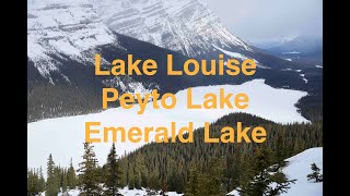 Lake Louise - Peyto Lake - Emerald Lake