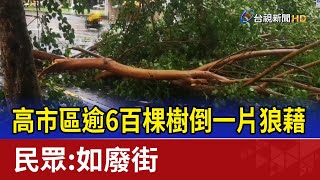 高市區逾6百棵樹倒一片狼藉 民眾：如廢街