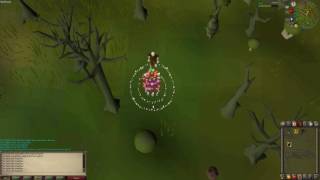 Fairy Ring Change Was Bad Idea
