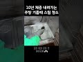 10년 체증 내려가는 주방 기름때 스팀 청소