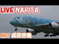 🔴LIVE at NARITA International Airport Plane Spotting　2024.11.15 成田空港ライブカメラ 成田空港　NRT/RJAA