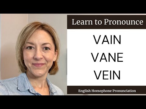 What is the homonym for vein?