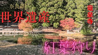 奈良県の紅葉狩り　世界遺産　が最高すぎた。