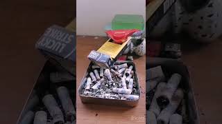 Dildo Pagarás