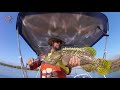 chasing barra in the carrington nt fishing adventures