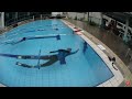 Pool Freediving 261m Dynamic with Bifins