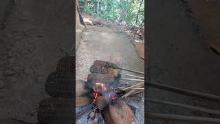 wood fire grilled corn || වැද්දෙක් වගේ බඩ ඉරිගු කමු || shorts #