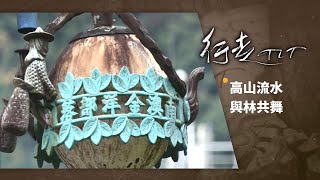 高山流水 與林共舞 | 行走TIT 第247集