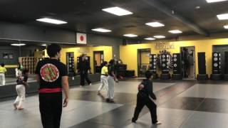 Dodge ball playing in New Tampa karate