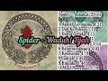 spider waduh tijah