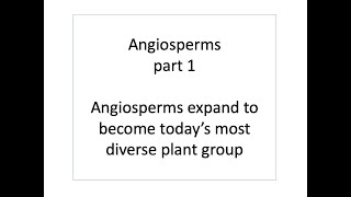 Angiosperms, part 1