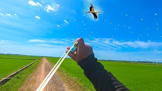 ĐI SĂN BẰNG NÁ CAO SU Tập 148 | Shoot the flying trigger with a slingshot