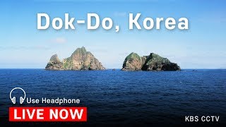 [독도 LIVE] 독도는 지금, 실시간 영상