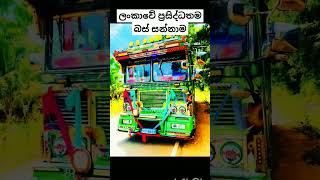 ලංකාවේ ප්‍රසිද්ධතම බස් සන්නාම ටික.🥰❤️#automobile #bus #viralvideo #trendingshorts #lmillon #foryou