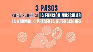 3️⃣ pasos para saber si la función muscular es normal o presenta alteraciones