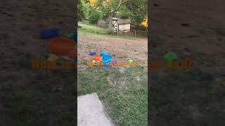 #backyard#slope#ideas#fun#family#home#renovation#remodeling
