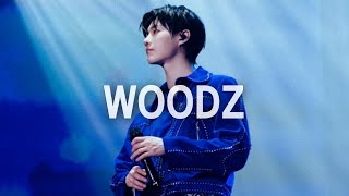 𝐏𝐥𝐚𝐲𝐥𝐢𝐬𝐭 우즈 노래모음 플리💙