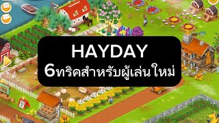 HAYDAY|6ทริคสำหรับผู้เล่นใหม่