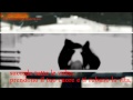 Eminem ft Sia - Beautiful Pain (Music Video sub Ita)