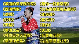 藏舞神曲美丽的草原我的家西海情歌卓玛驼铃天路