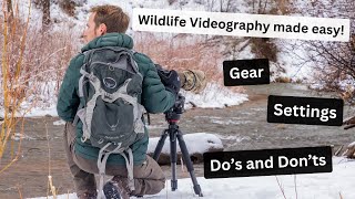 Instantly improve your Wildlife Videography by doing these things. Gear, Settings and much more!