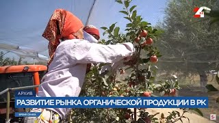 Развитие рынка органической продукции в Казахстане | Время Сената