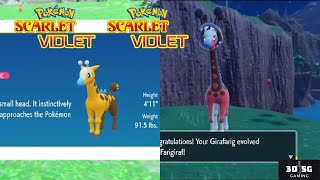 Pokemon Scarlet \u0026 Violet | No. 0981 \u0026 0203 Shiny Farigiraf \u0026 Girafarig