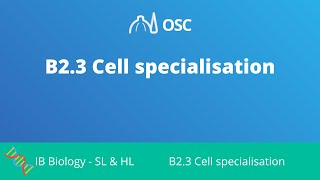 B2.3 Cell Specialisation [IB Biology SL/HL]