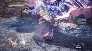 【MHW:IB】溟鳴り遥か遠く 歴戦王ネロミェール 鑑定双剣(火) 08'39\