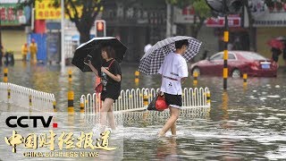 《中国财经报道》台风“韦帕”来袭 海南：“韦帕”来袭 海口遭遇强风暴雨 20190801 11:00 | CCTV财经