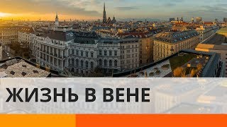 В Вене делают бесплатные пластические операции?