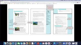 3-5 Integrated Strand Lesson Internalization