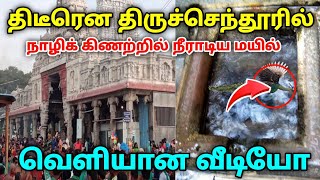 திடீரென திருச்செந்தூரில் நடந்த அதிசயம் ! வியர்க்கும் முருகனைக்கண்டு அதிர்ச்சியான பக்தர்கள் !