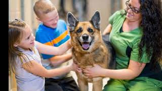 Sunrise Humane Society overflowing with adoptable pets