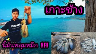 EP.1 ตกหมึกเกาะช้าง หน้าที่พักโชคดีรีสอร์ท ดงหมึกชัดๆ