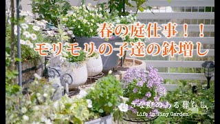 ガーデニング Vlog｜春の庭仕事！！モリモリの子達の鉢増し｜ 〜小さな庭のある暮らし 160〜Gardening ｜ Life in a tiny garden