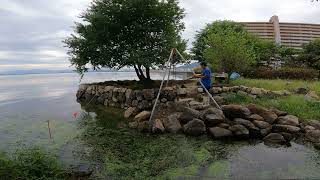 石が余ってきました　琵琶湖湖岸清掃整備