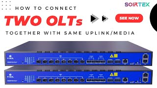 Connect two OLT together