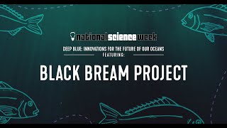 The Black Bream Project