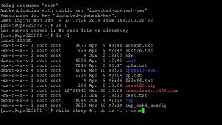 How to automatically repeat command in Linux