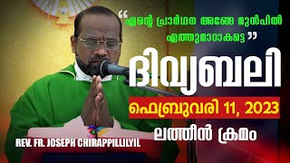 ദിവ്യബലി-(ലത്തീൻ ക്രമം)-HOLY MASS-MALAYALAM - FEBRUARY 11, 2023| LITTLE GOODNESS PRAYER WORLD