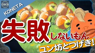 【ゼルダの伝説ティアキン】失敗しない！【キースの目玉】短時間ループで大量ゲット【小ネタ】ユン坊やるやん！おまけにこんなやり方発見！