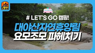 [#Let's Go 자연휴양림] 시원한 계곡이 흐르는 국립대야산자연휴양림 파헤치기!