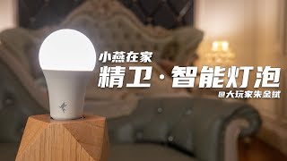 【HomeKit】智能灯泡终于有了，小燕在家精卫系列智能灯泡体验