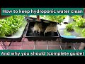 how to keep hydroponic water clean