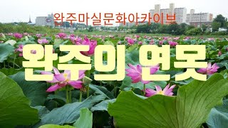 완주의 연을 찿아서 완주100경 wanju  geographic